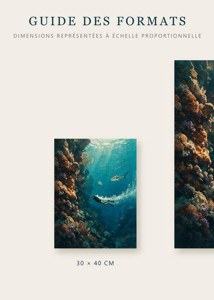 Formats disponibles pour Au Fil du Récif : A4, 30 × 40 cm et 50 × 70 cm