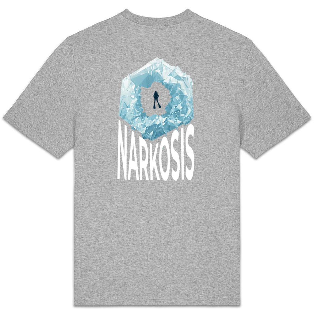 T SHIRT ARCTIQUE - dos_0