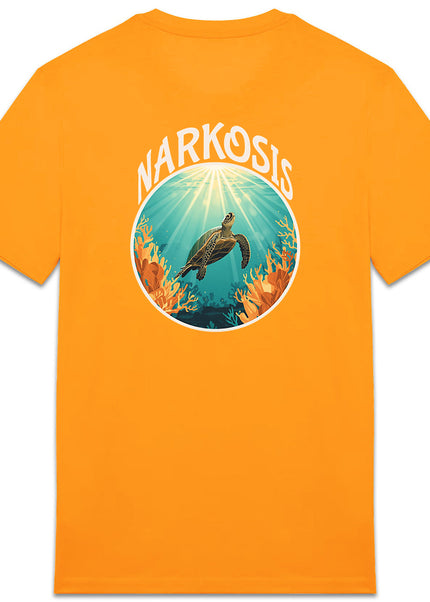 t shirt indien 3 - dos_4