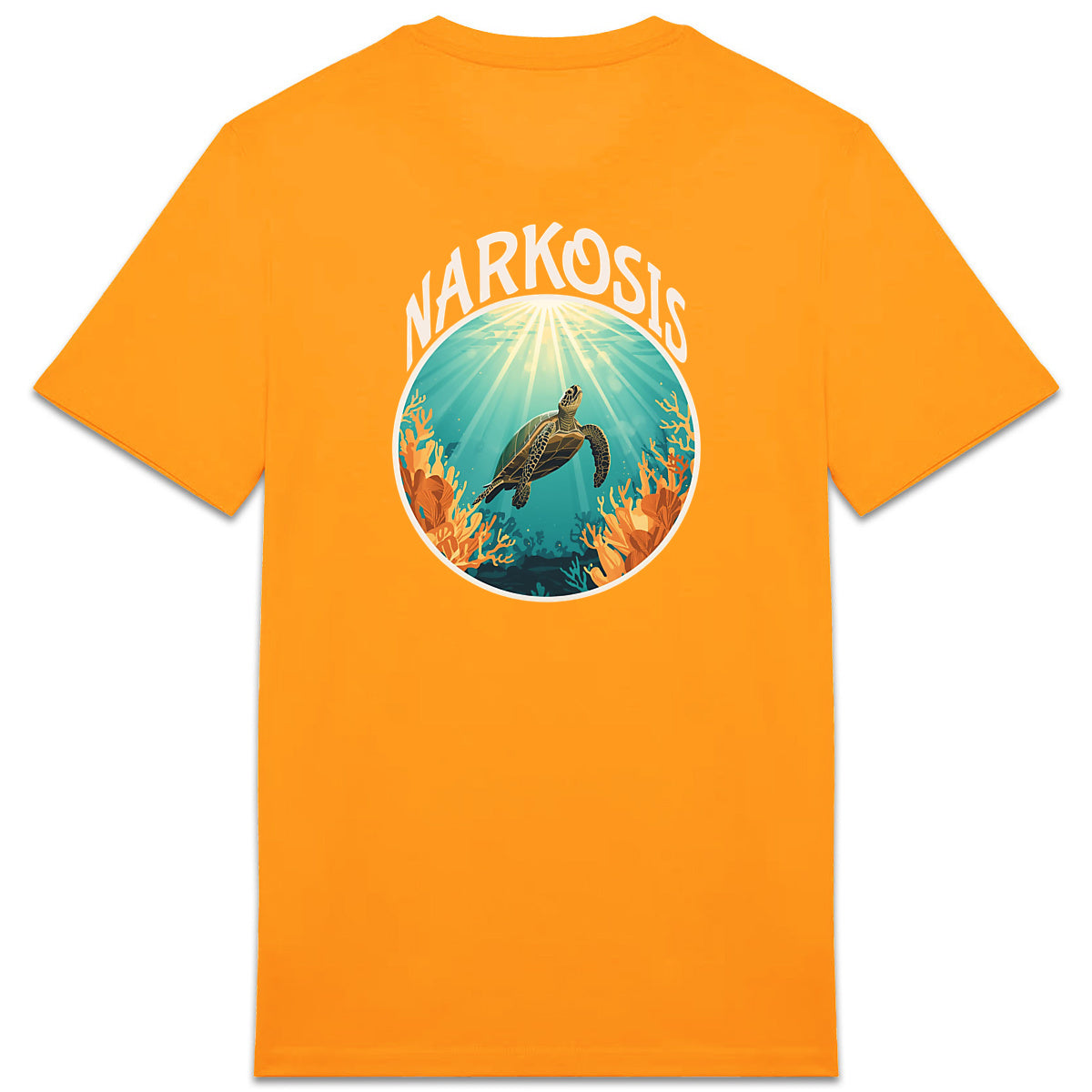 t shirt indien 3 - dos_4